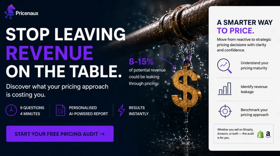 Pricenaux Free E-Commerce Pricing Audit showing pricing maturity, potential leakage, personalized recommendations and practical actions.