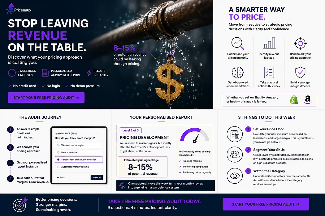 Pricenaux Pricing Audit journey from potential revenue leakage to a personalized maturity report and practical actions.