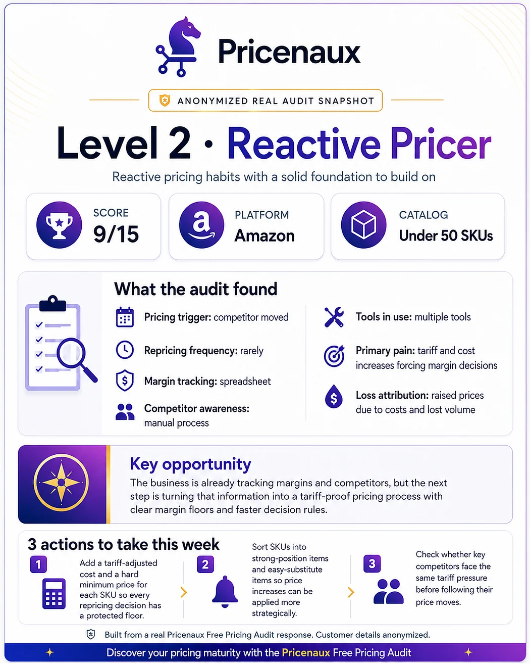 Anonymized Pricenaux pricing audit snapshot for a Level 2 Reactive Pricer with recommendations for stronger pricing discipline.